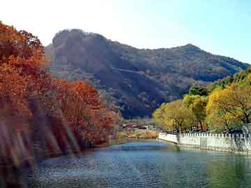 新澳天天开奖资料大全旅游团，痘痘红肿